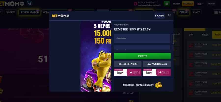 Betmomo CI Premium